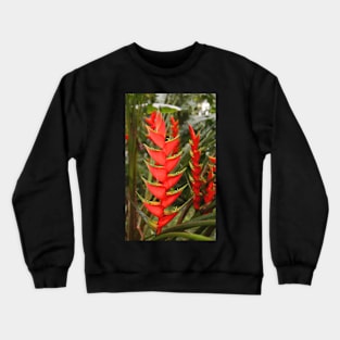 An Exotic Heliconia Crewneck Sweatshirt